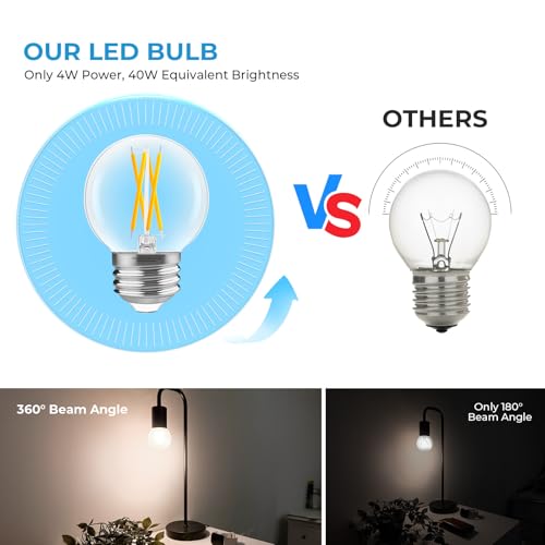 E26 G16.5 Edison Globe LED Bulb (12 Count)