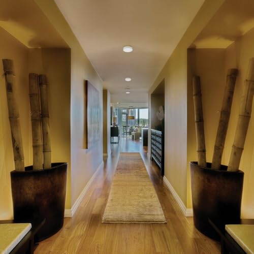 Slim Basics 6 Inch LED Ceiling Light