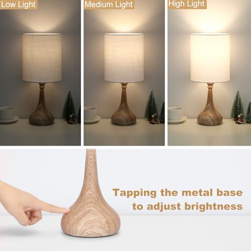 Dimmable Small Table Lamp