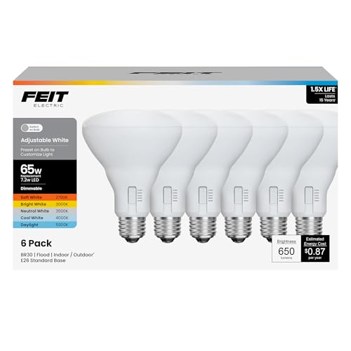 BR30 LED Light Bulbs (6 Count)