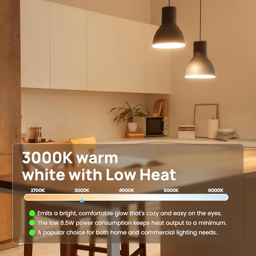 A19 LED Light Bulb (5 Count)