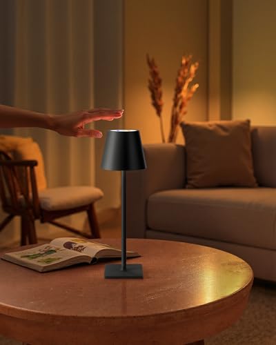 2 Pack Cordless Black Table Lamps (2 Count)