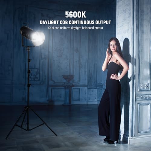 CB200 210W LED Video Light with 2.4G