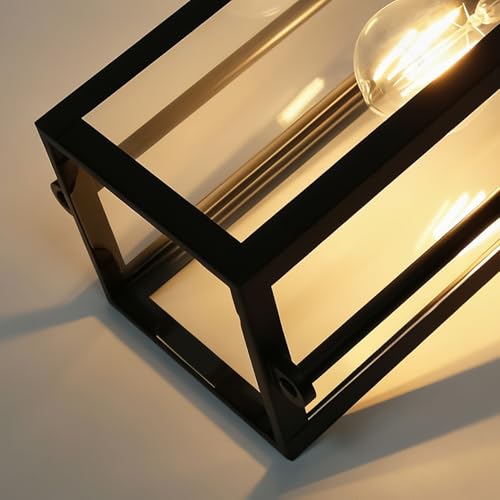 2 Packs Outdoor Wall Lights (2 Count)