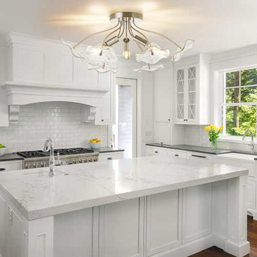 Semi Flush Mount Ceiling Light Fixture