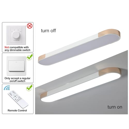 Modern LED Ceiling Light