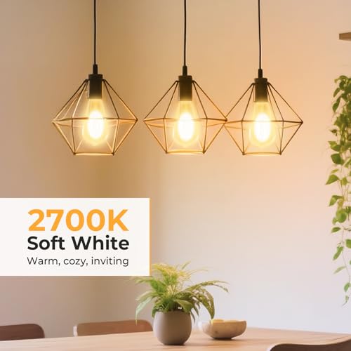 Dimmable Edison Bulbs 2700K Warm White (10 Count)