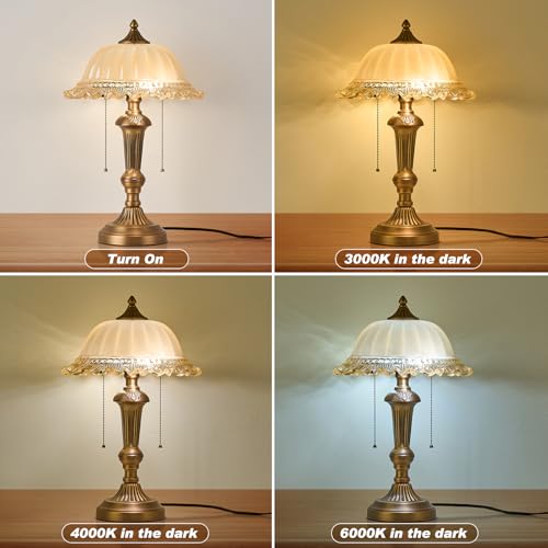Glass Shade Table Lamp Vintage Metal Desk Lamp 2 Lights Table Light with Plug Switch for Bedroom Living Room Home Office Brass and Brown (2 Count)