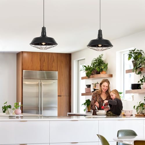 Black Farmhouse Pendant Light (2 Count)