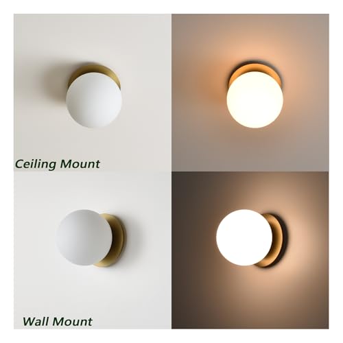 Wall Sconces 1 Light Modern Globe Sconce in Aged Brass