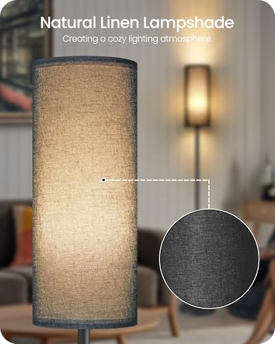 Dimmable Black Floor Lamp for Living Room with Remote and Foot Switch