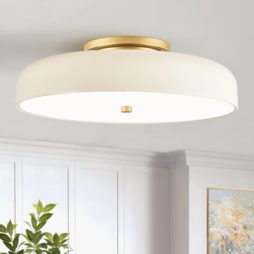 Dimmable LED Ceiling Light Fixture