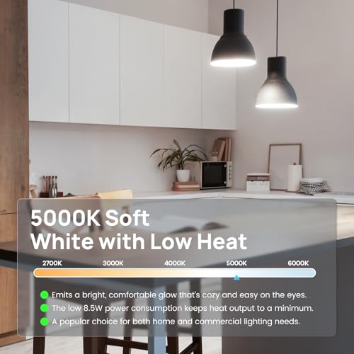 A19 LED Light Bulb (5 Count)