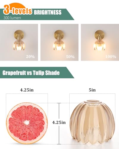 Tulip Lamp Shades Replacement (2 Count)
