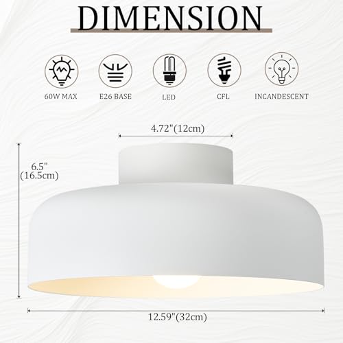 Semi Flush Mount Ceiling Light