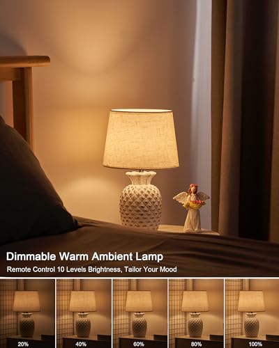13" Small Rechargeable Cordless Table Lamp