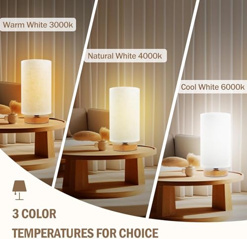 3 Color Adjustable Bedside Table Lamp for Bedroom Set of 2 (2 Count)