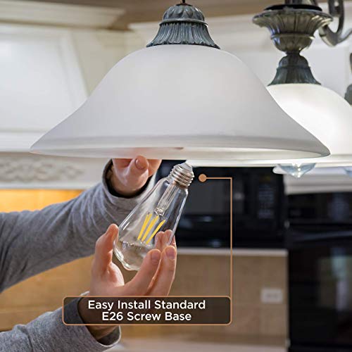 Hudson Vintage LED Edison 6W Bulb Set (6 Count)
