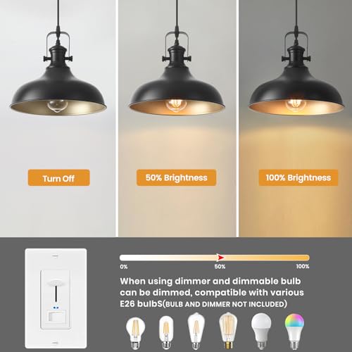 Farmhouse Pendant Lights (2 Count)