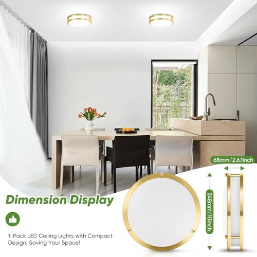 10 Inch LED Flush Mount Ceiling Light