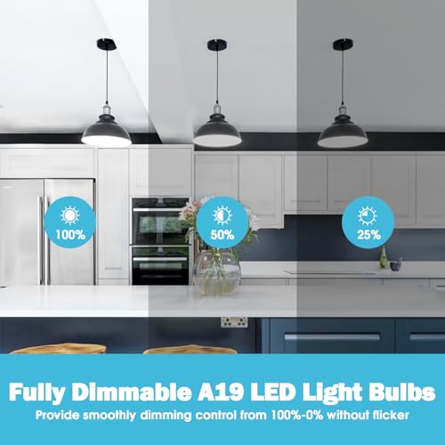 A19 LED Light Bulb (12 Count)