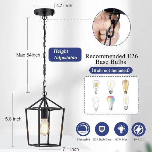 2 Pack Pendant Lights Kitchen Island (2 Count)