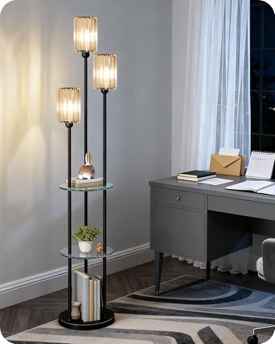Black Floor Lamp with Shelves