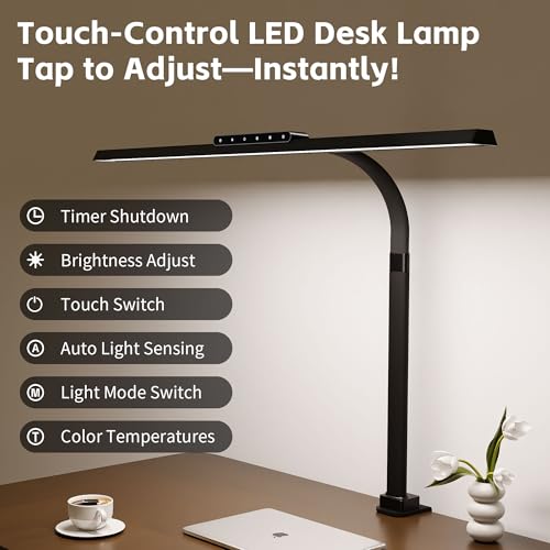 Clamp on Desk Lamp