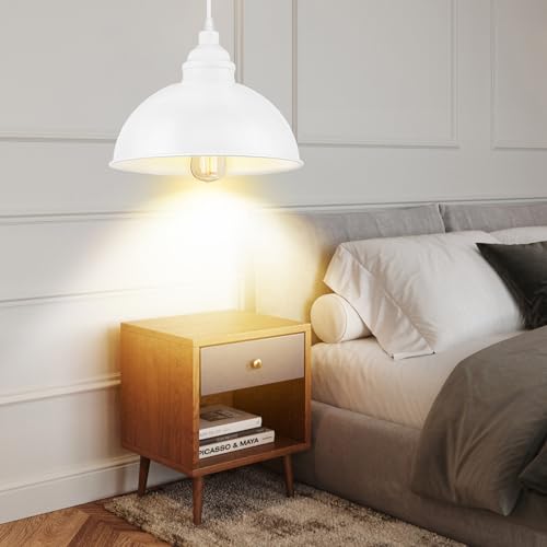 Plug in Pendant Light