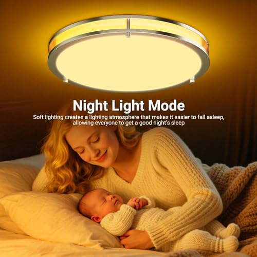 13 Inch Flush Mount Ceiling Lights (2 Count)