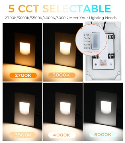 120V Dimmbale 5 Color LED Indoor Outdoor Step Light (6 Count)