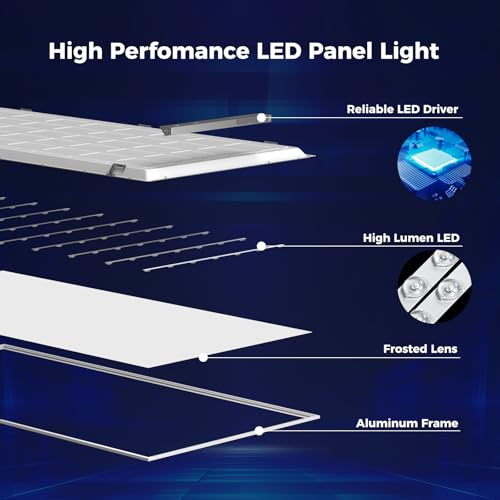 1 Pack 2x4 LED Flat Panel Light
