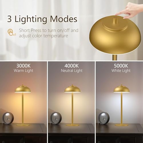 Cordless Table Lamps (2 Count)