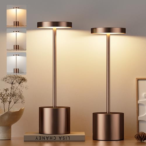 Brown Cordless Lamp Set (2 Count)