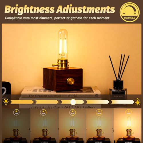 T10 LED Bulb Dimmable Tubular Light Bulb E26 4W Equal 40 Watt Long Edison Light Bulbs 2700K Warm White for Chandelier Industrial Wall Sconces Curio Cabinet Piano Light Desk Lamp 400LM (2 Count)