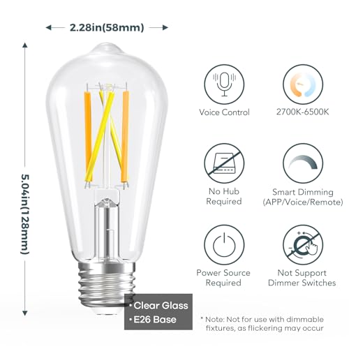 Smart Edison Light Bulb (2 Count)