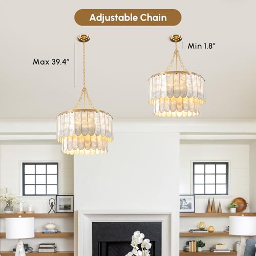 Modern 5 Light Shell Chandelier