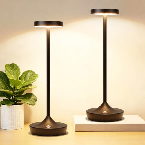 2 Pack Rechargeable Cordless Table Lamps 6000mAh LED Battery Table Light
