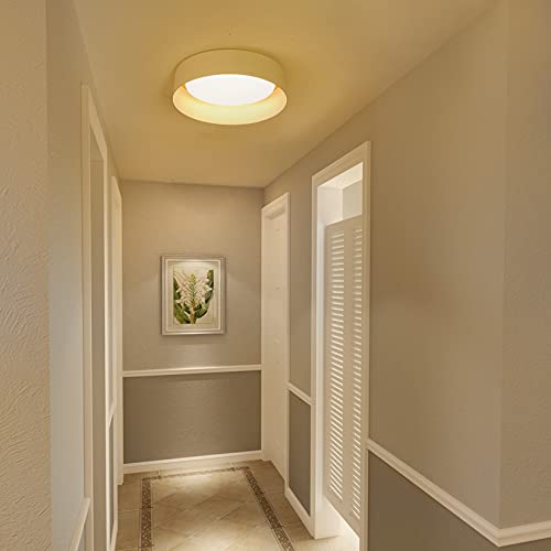 Flush Mount Ceiling Light