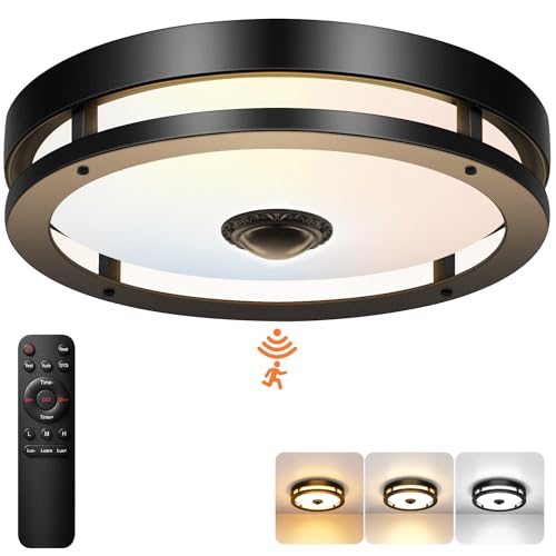 Outdoor Motion Sensor Ceiling Light with Remote