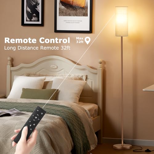 64'' Floor Lamps for Living Room with Remote Control and Stepless Dimmable Colors Temperature & Brightness