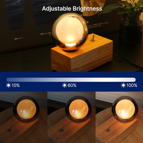 G125 Decorative Large Globe LED Bulb (2 Count)