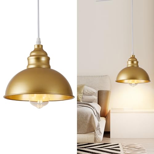 Plug in Pendant Light