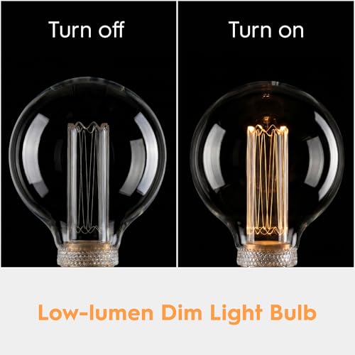 Dimmable Edison Bulb E26 Vintage Round LED Light LowLumen Clear G95