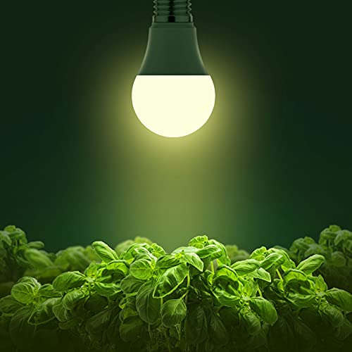 Grow Light Bulbs