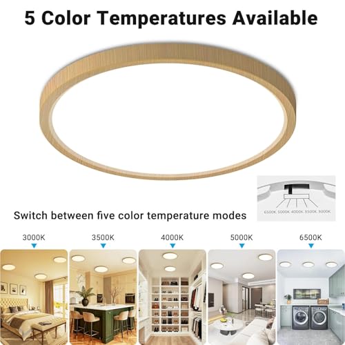LED Flush Mount Ceiling Light