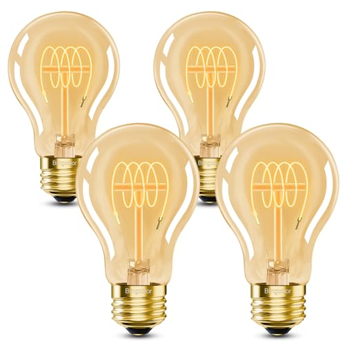 E26 Dimmable A19 Vintage 6W LED Edison Bulbs 2700K Decorative Light Bulbs (4 Count)
