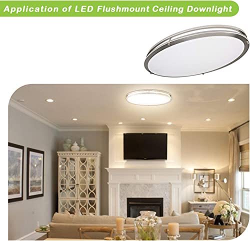 32 Inch Oval LED Ceiling Light