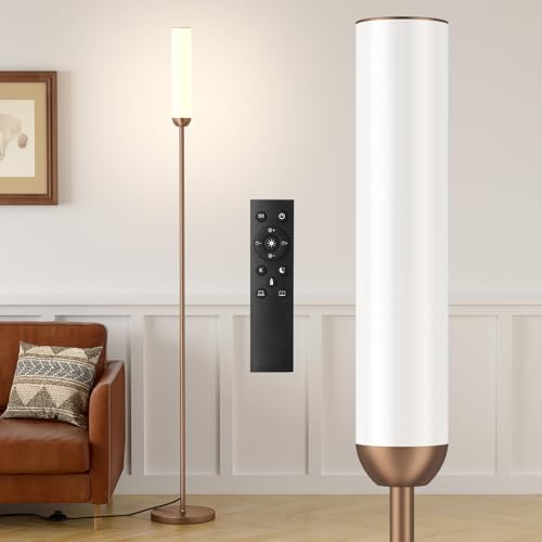 LED Floor Lamp with Remote Control