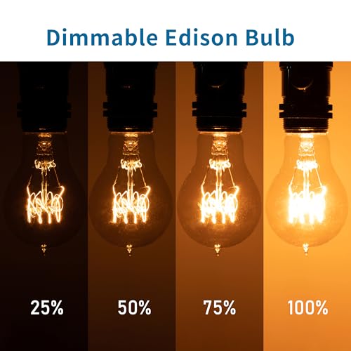 Warm Incandescent Light Bulbs 60 Watt (4 Count)